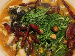 -清水亭湖北菜(大屯DT51店)