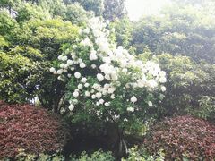 -杭州城北体育公园