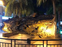 -海口骑楼小吃街