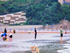 -东海半边山旅游度假区