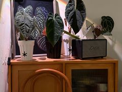 -本無咖啡·BeanWood Coffee