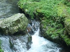 -三峡人家风景区