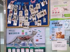 -宠颐生中康贝怡动物医院