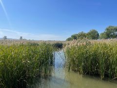 -野鸭湖国家湿地公园