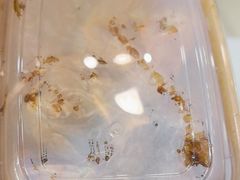 -后海16号·北京私房菜