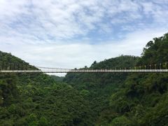 -川西竹海景区