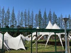 -前小桔亲子创意农场·草莓采摘·露营烧烤