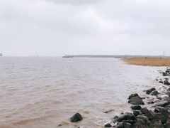 -上海吴淞炮台湾国家湿地公园