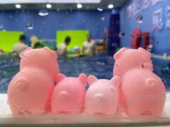 -龙格亲子游泳·水育早教运动中心(绿宝中心)