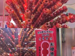 -和禄德冰糖葫芦