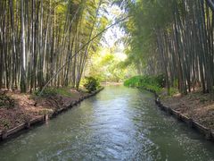 -同里国家湿地公园