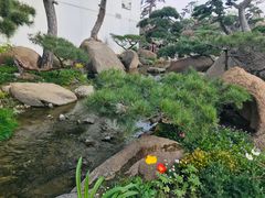 -罗红摄影艺术馆