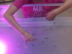 -上海大自然野生昆虫馆(东方明珠·爬宠昆虫探索中心)
