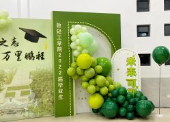 -浅夏之花气球派对