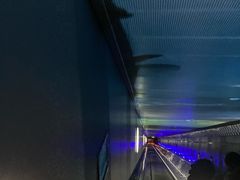 -白鹤梁水下博物馆