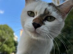 -海底捞火锅(正大乐城店)