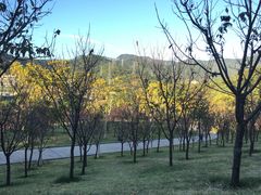 -牛岗山公园