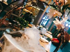 -青瓷火锅料理(西单大悦城店)