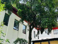 -四川大学(望江校区)