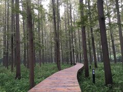 怡沁园度假村-上海怡沁园度假酒店