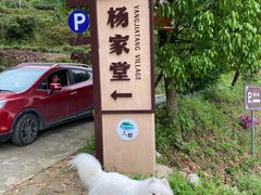 -杨家堂村