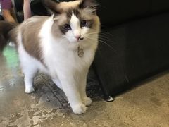 -咖法森林·咖啡  酒吧(天河店)