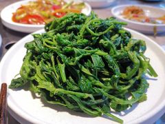 清炒桑叶-淘米捞·米汤脆鲩鱼火锅(福田皇岗店)