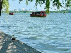 -西湖外事游船(湖滨二公园外事游船码头)