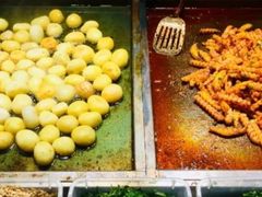 -周小亮丁家坡洋芋(全国总店)