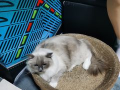 -零纪元VR体验馆·桌游(黄浦店)