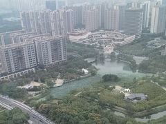 -嘉定凯悦·咖啡厅