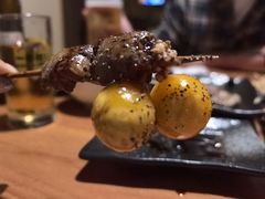 -木子烧鸟屋(百子湾店)