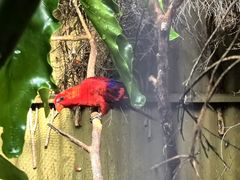 -费瑟代尔野生动物园