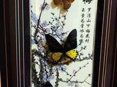 -蝴蝶泉公园