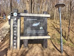 -沈阳辉山风景区