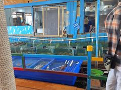 -蓝湾碧波·老字号·疍家非遗海上餐厅