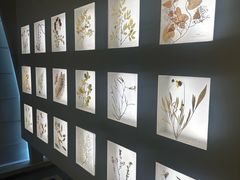 -予厘·推拿按摩·精油SPA(憩舍长安店)