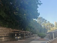 -九龙公园