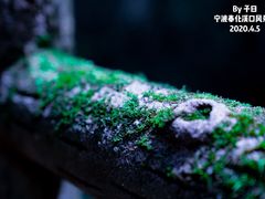 -溪口-滕头旅游景区