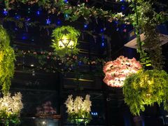 -聚缘·湘味音乐餐厅party(罗湖店)