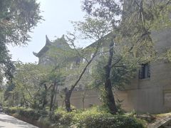 -武汉大学-樱园