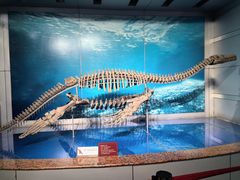 -自贡恐龙博物馆