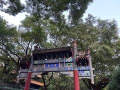 -北京国子监胡同