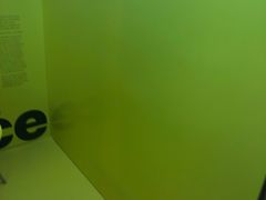 -油梨树 AVOCADO TREE(亮马桥店)