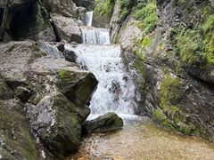 -牛背梁国家森林公园