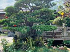 -绿华园休闲山庄