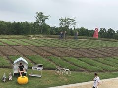 -同里国家湿地公园