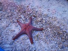 -横店影视城梦幻谷园区