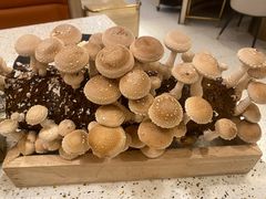 -椰子营·椰子鸡火锅(万象里店)
