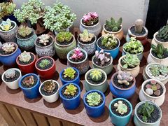 -L.C FLORA花予你(城西银泰城店)